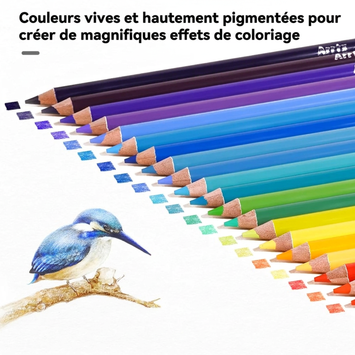 Crayons de couleur Arrtx alignés en dégradé et dessin d'un martin-pêcheur montrant la vivacité des pigments